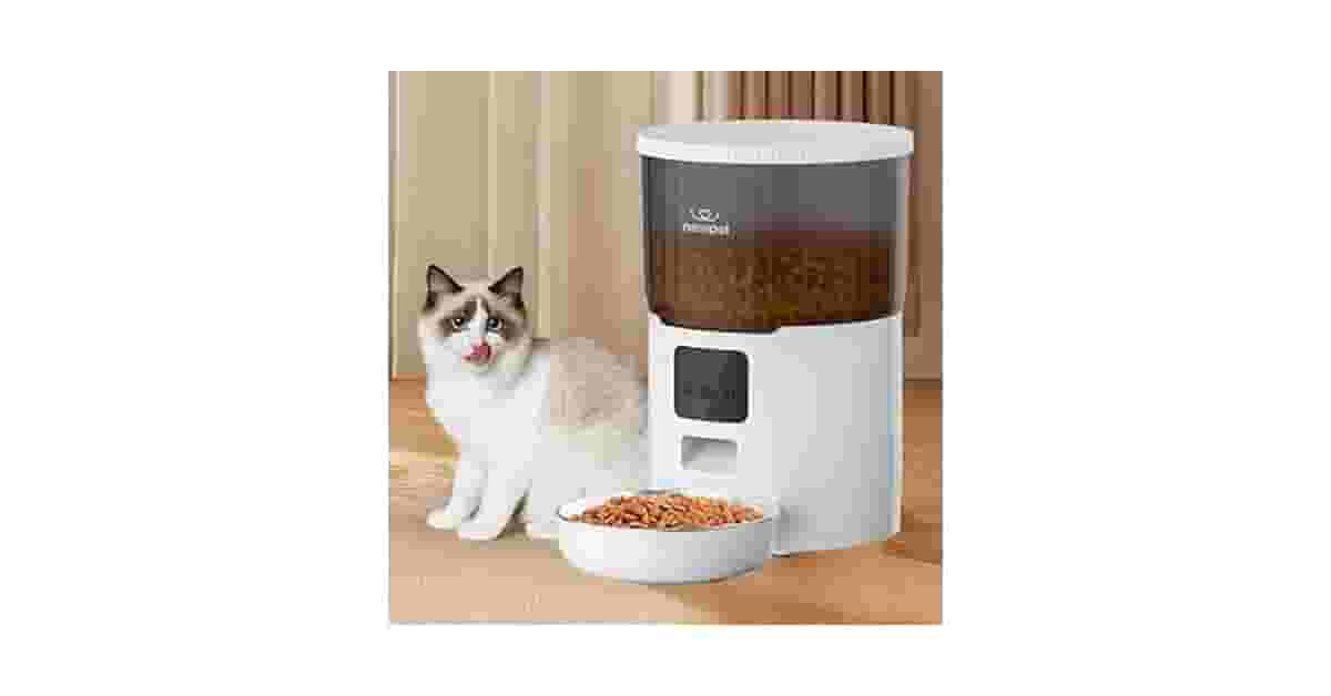 Melhor Alimentador Automatico para Gatos: Wi-Fi ou Câmera?