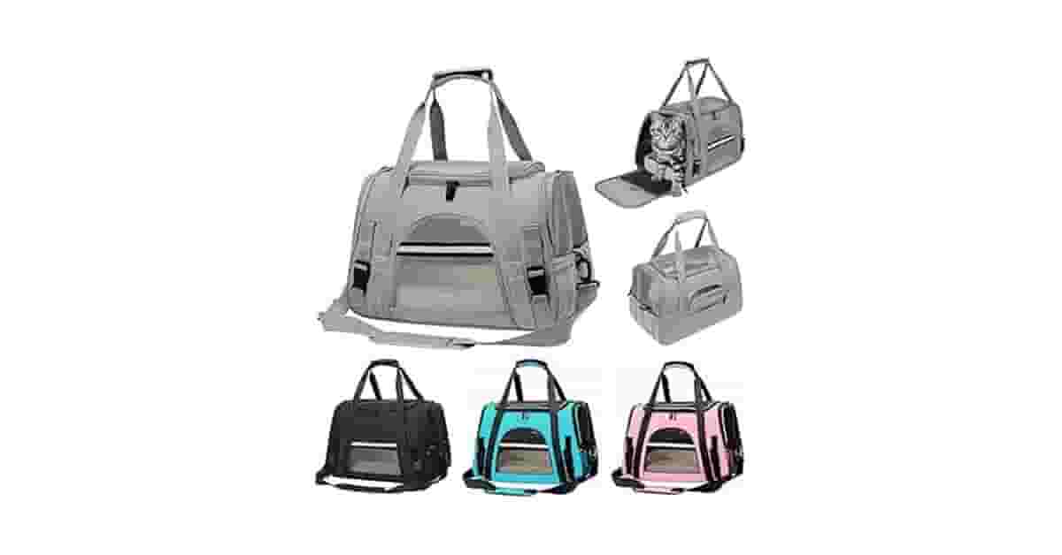 Melhor Bolsa para Gatos: 10 Opções para Avião