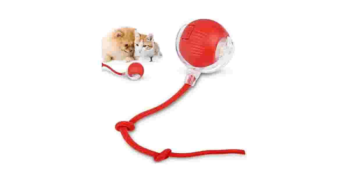 Melhor brinquedo de gato: Guia para cada instinto