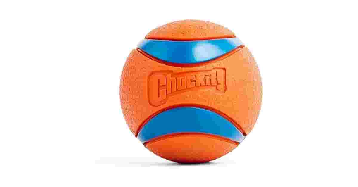 Melhor Brinquedo para Cão Grande que Destrói Tudo