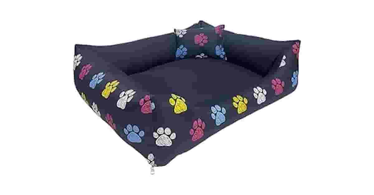 Melhor cama para cachorro: da suspensa à impermeável