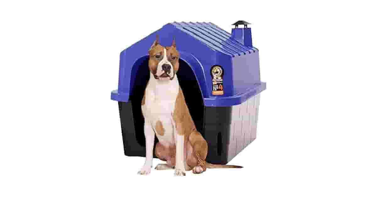 Melhor Casa para Cachorro: Plástico ou Madeira?