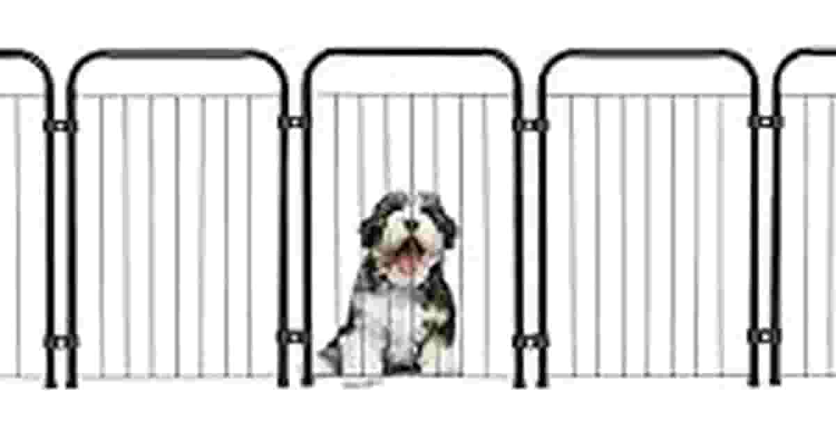 Melhor Cercado Para Cachorro: Tamanho vs. Material