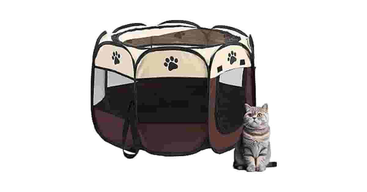 Melhor Cercado para Gato: Portátil ou Modular?