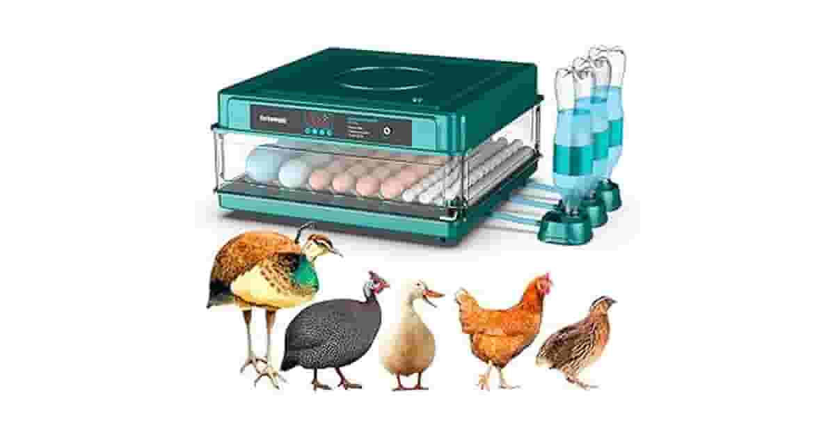 Melhor Chocadeira: Guia da Compacta à de 240 Ovos