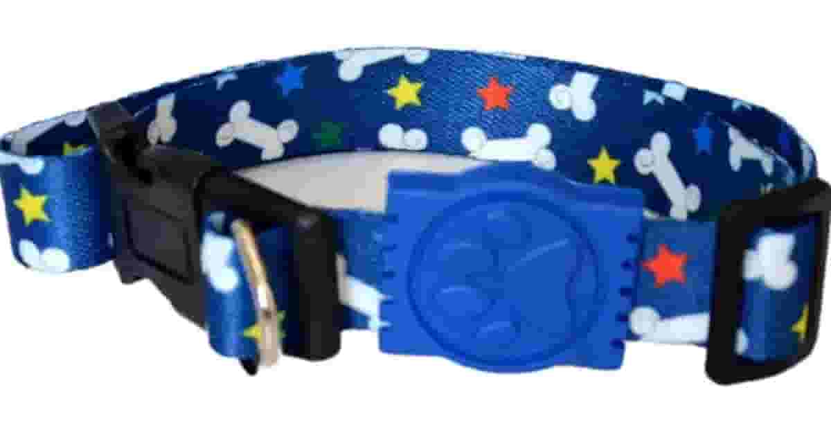 Melhor Coleira Cachorro: Conforto e Segurança Garantidos