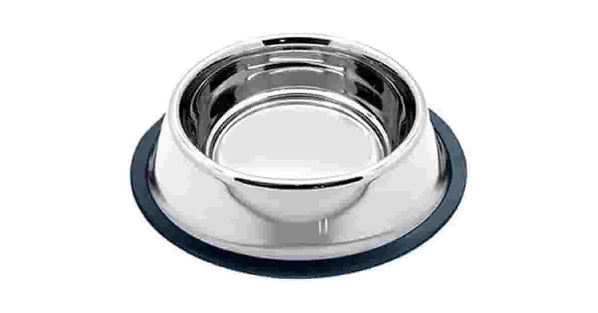 Melhor Comedouro para Cachorro: Elevado ou Lento?