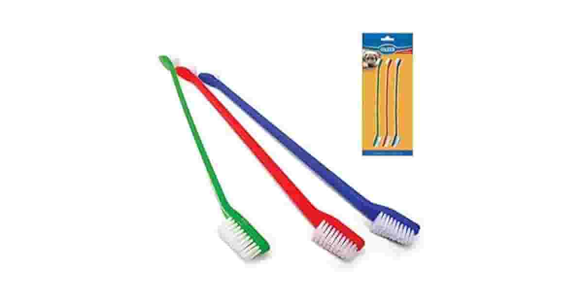 Melhor escova de dente para cachorro: 10 tipos