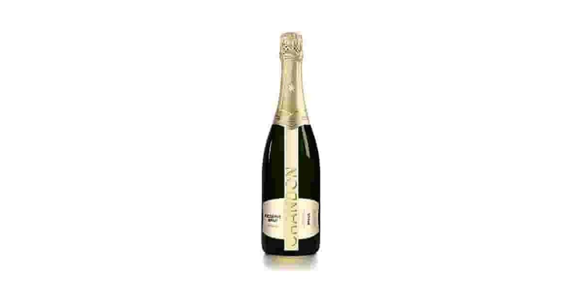 Melhor Espumante: Um Guia do Brut ao Moscatel