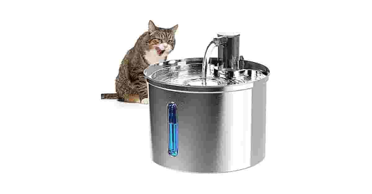 Melhor Fonte para Gatos: As 10 Inox Mais Silenciosas