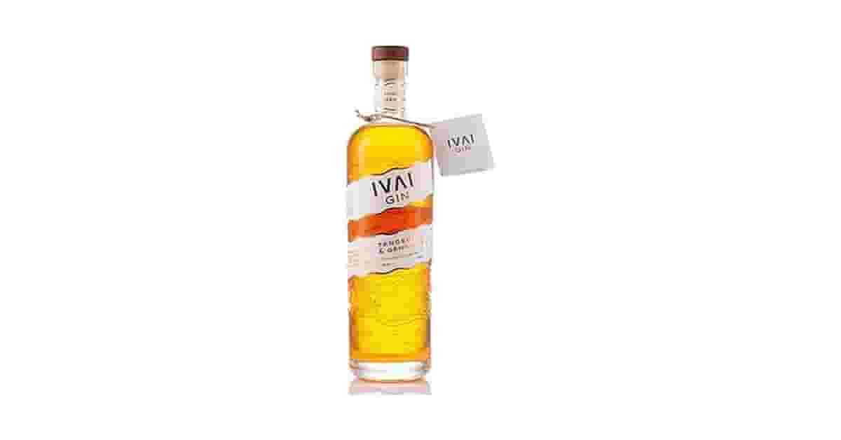 Melhor Gin Nacional: Guia de Botânicos e Sabores