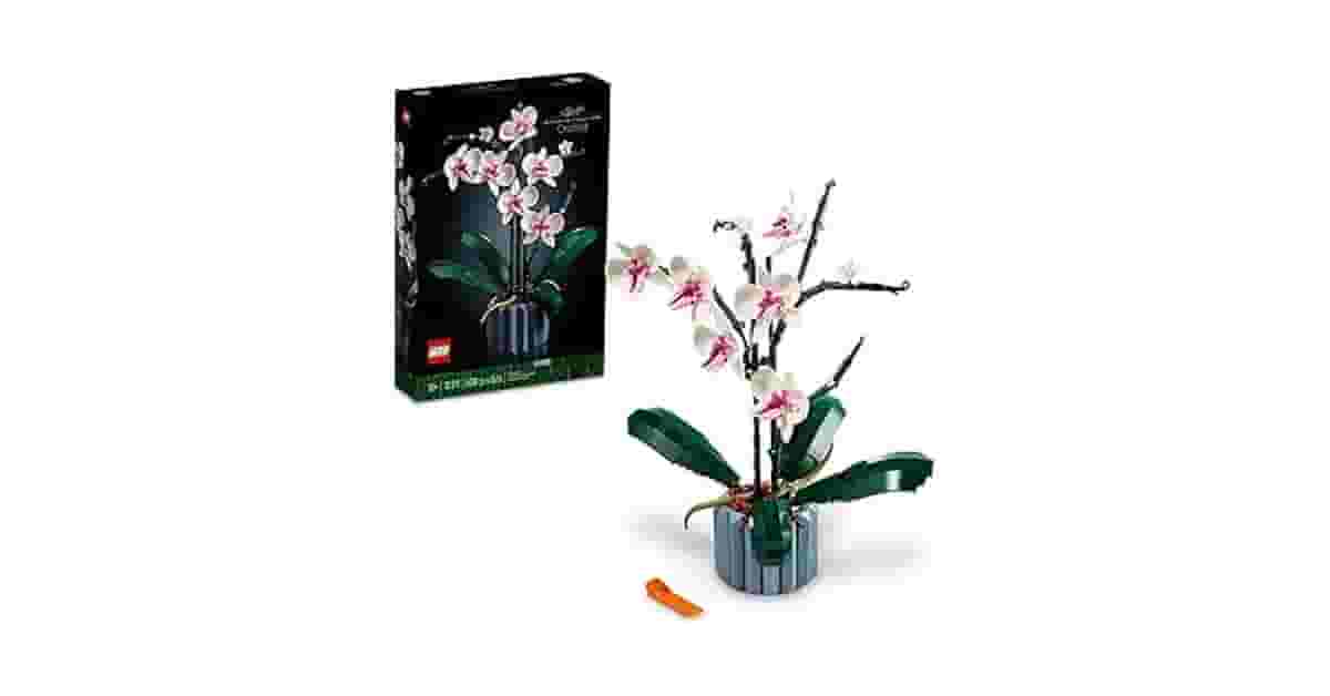 Melhor LEGO® Para Adulto: Do Hobby à Decoração