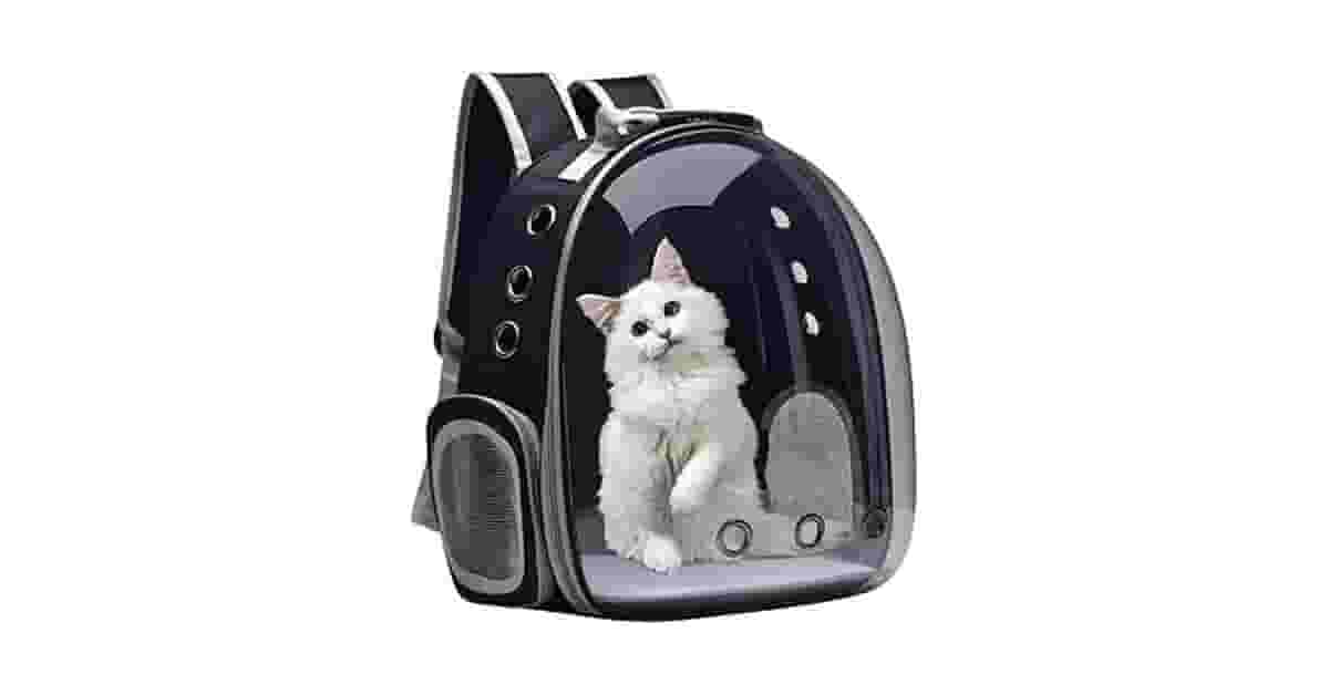 Melhor mochila transparente para gato: qual comprar?