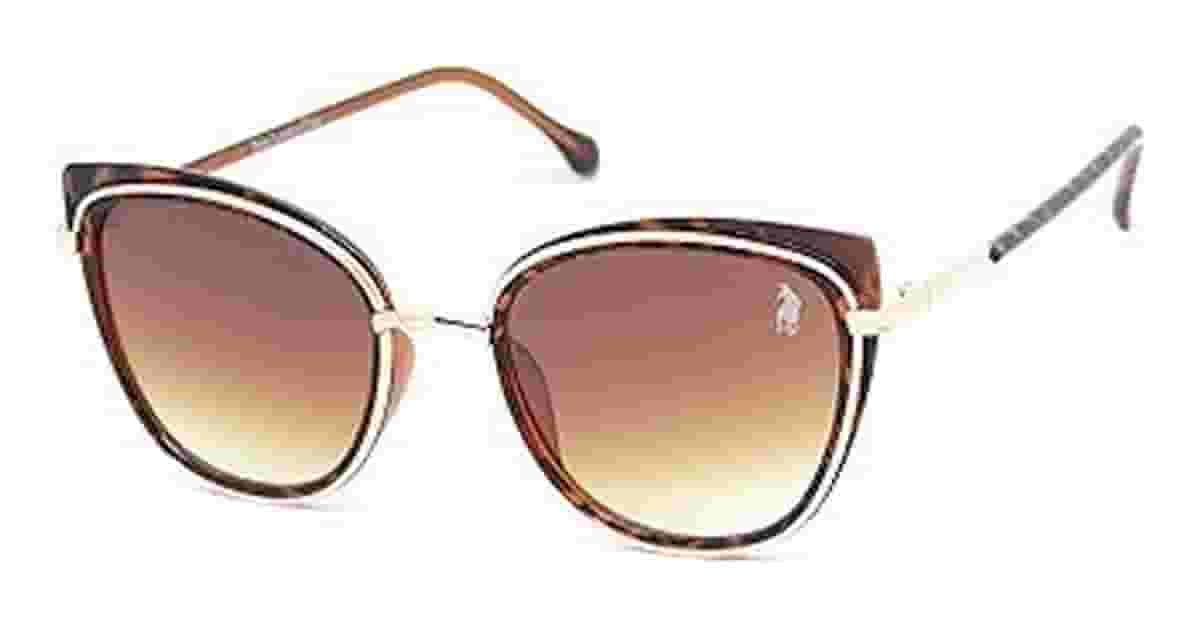 Melhor Oculos de Sol Feminino: Gatinho ou Quadrado?