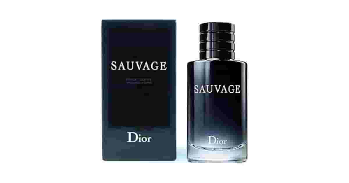 Melhor Perfume Dior Masculino: Sauvage ou Homme?