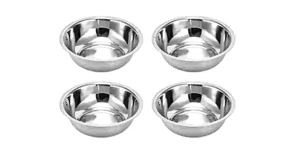 Melhor Vasilha para Gato: Guia do Inox ao Elevado