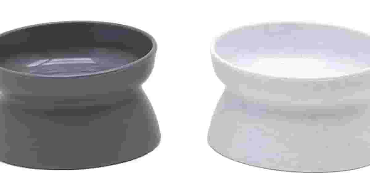 Melhor Vasilha para Gatos: Guia Essencial para Conforto