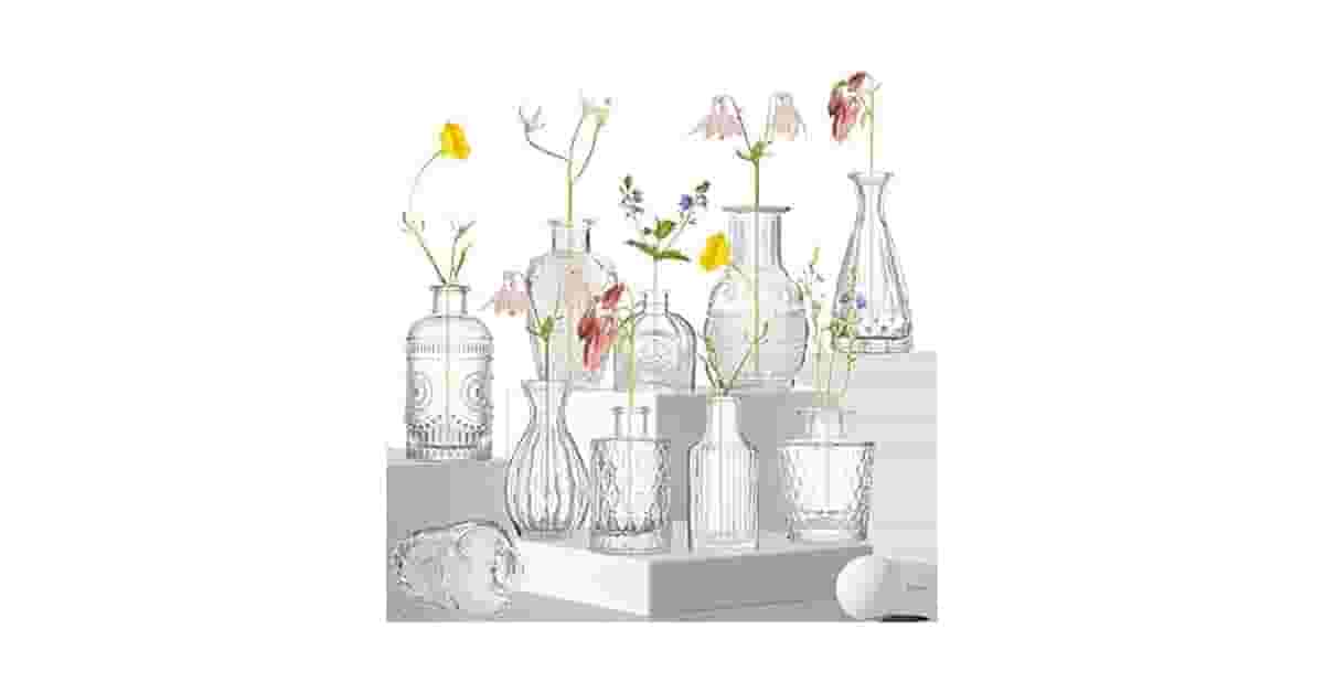 Melhor Vaso Decorativo: Guia de Materiais e Estilos