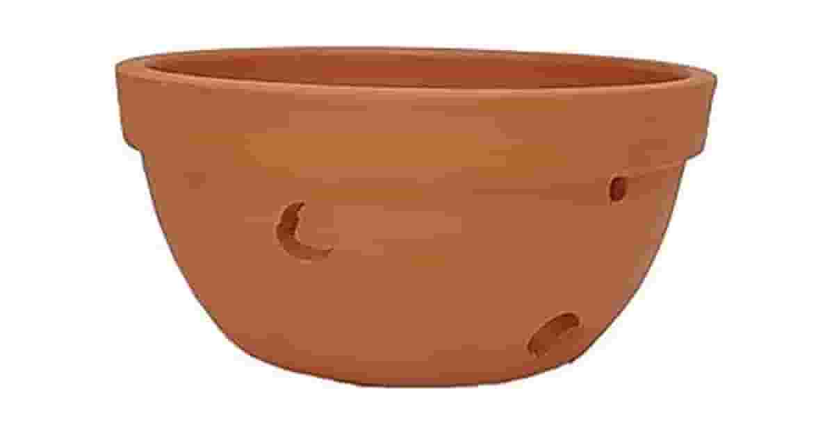 Melhor Vaso Para Orquidea: Guia de Drenagem e Raiz
