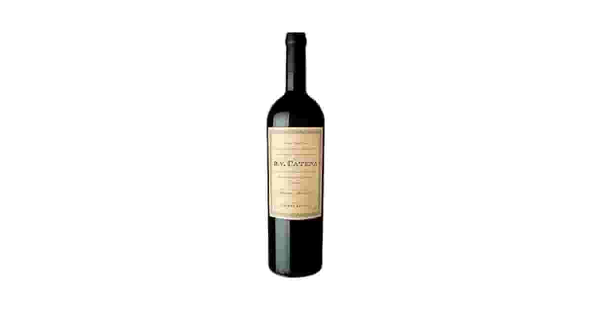 Melhor Vinho Argentino: Malbec é a Melhor Uva?