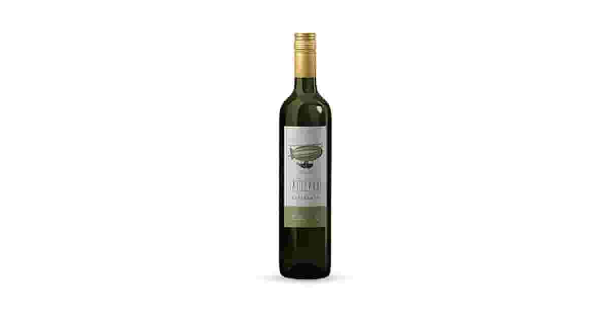 Melhor Vinho Branco Seco: Guia de Uvas e Sabores