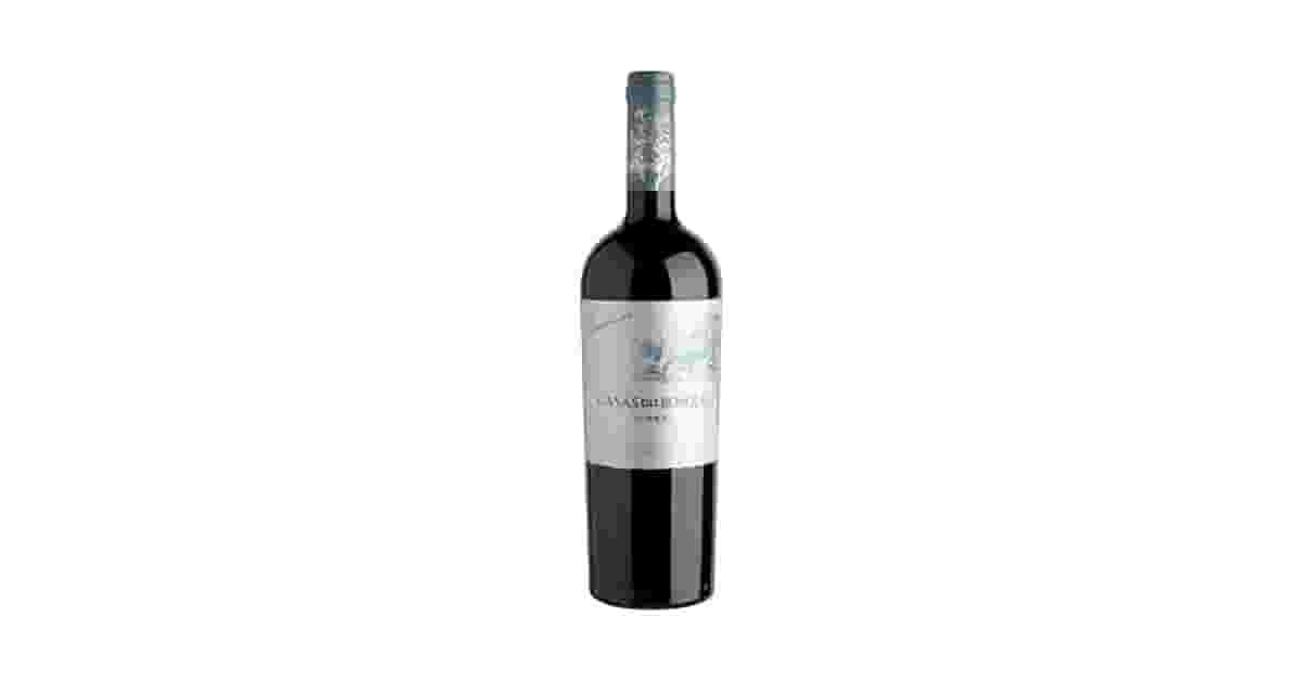 Melhor Vinho Carmenere: Guia de Sabores e Taninos
