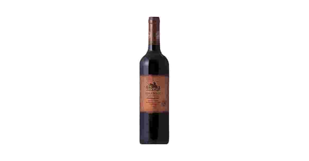 Melhor Vinho Chileno: Qual Uva Escolher?