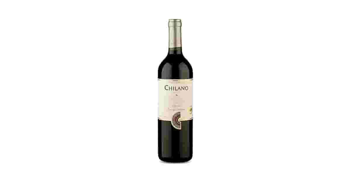 Melhor Vinho Syrah: Chileno vs Argentino? 10 Vinhos