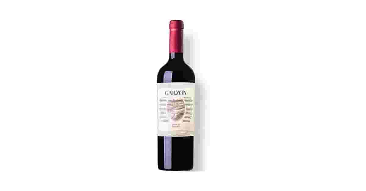 Melhor Vinho Tannat Para Churrasco: 10 Rótulos