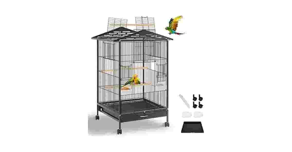 Melhor Viveiro para Calopsita: Qual Tamanho Ideal?