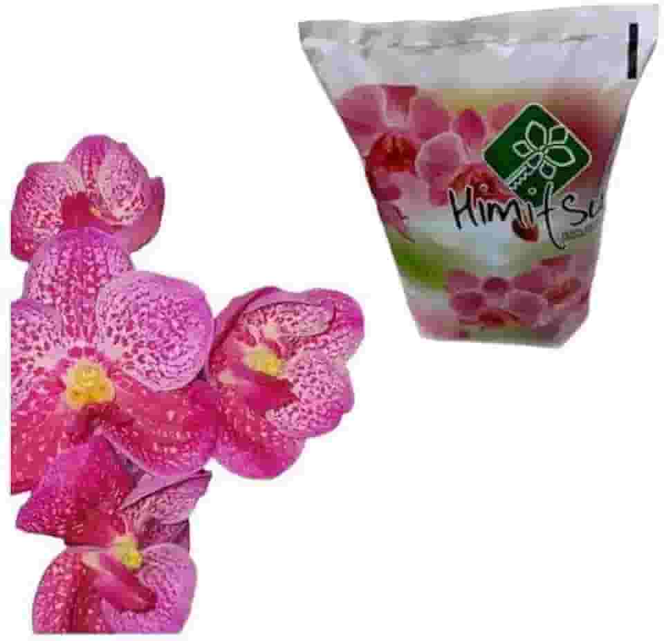 Himitsu Adubo Para Orquídeas Fertilizante Organomineral
