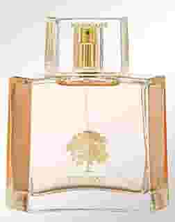 Perfume Mahogany Rosewood Feminino 100 ml