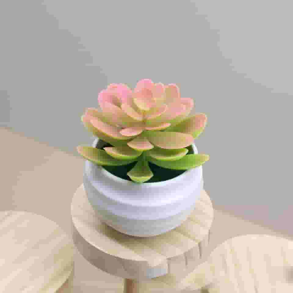 Plantas suculentas artificiais em vasos, pequenas plantas falsas para quarto, estética, sala de estar, escritório, prateleira, decoração de banheiro (rosa)
