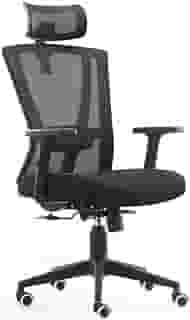 Cadeira de Escritório Presidente Ergonômica NR17 Akira Duoffice DU388