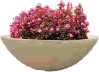 Vaso Polietileno Bacia Para Plantas Flores Jardim Luxo 50cm (BEGE)