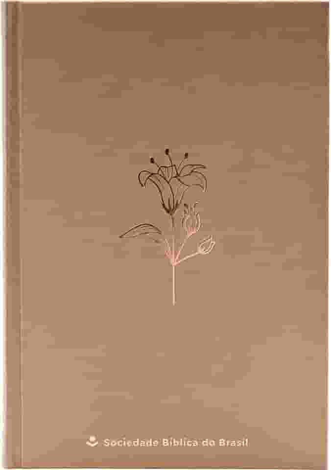 Bíblia NTLH, Mocha Mousse, Capa Dura: Nova Tradução na Linguagem de Hoje (NTLH)