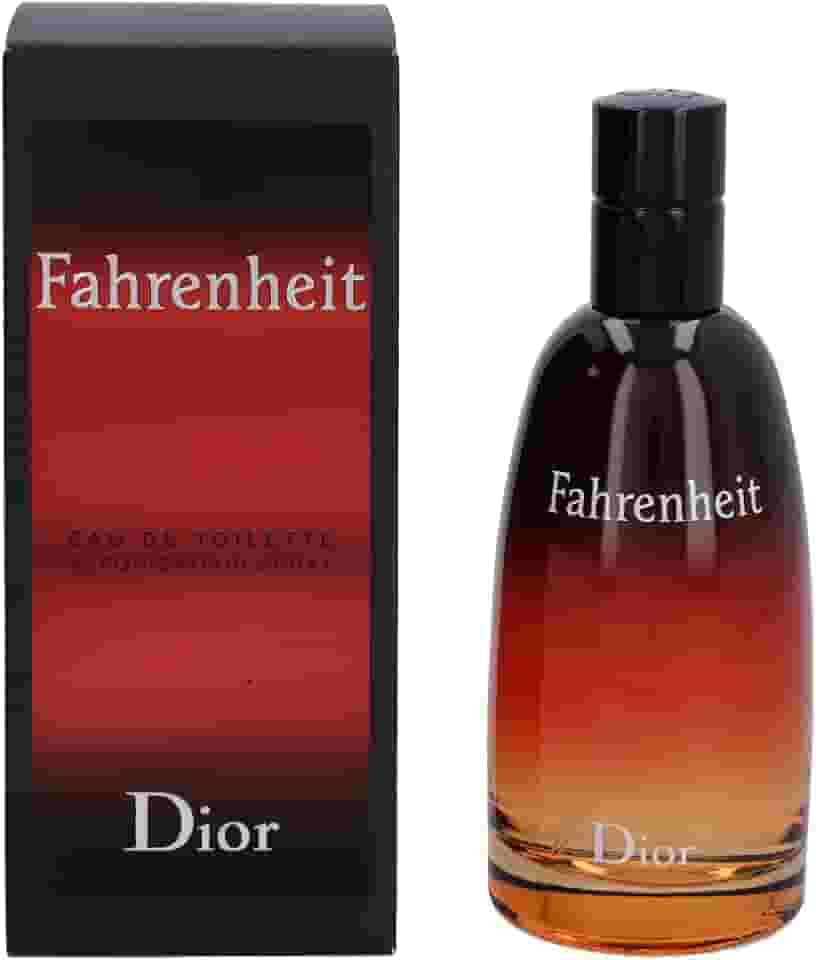 Perfume Masculino Dior Fahrenheit 100ml Edt