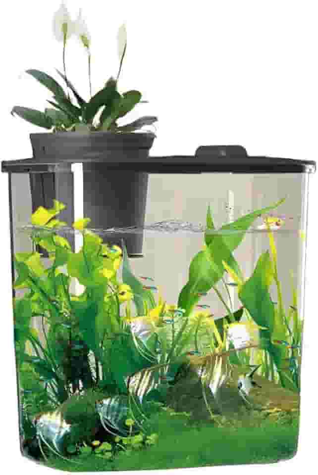 Aquario Para Peixes Betta 19x11x17cm 3,5l Com Bomba E AcessóRios E Led(LPS-7101)