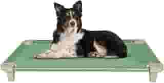 Cama Pet, Cama para Cachorros, Confortável e Higiênica, Manta Cor Verde e Pés Cor Gelo, Acrimet