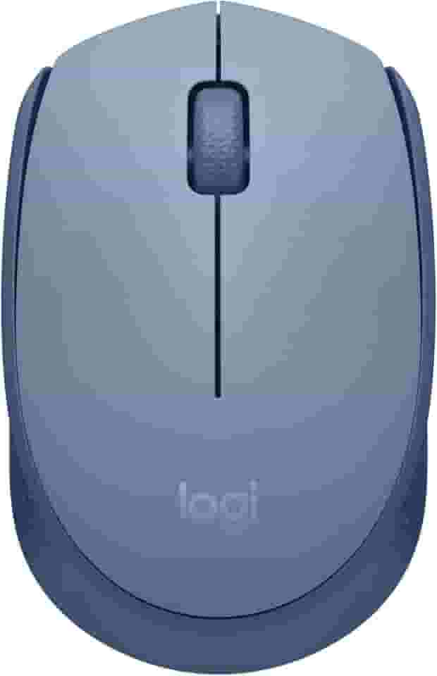 Mouse sem fio Logitech M170 com Design Ambidestro Compacto, Conexão USB e Pilha Inclusa - Azul Claro
