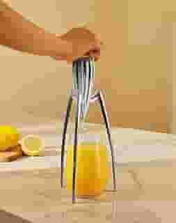 Espremedor de Frutas Cítricas, 11 * 29CM, Alumínio, Tamanho Unico, Espremedor de Laranja Manual, Espremedor de Limão Inox