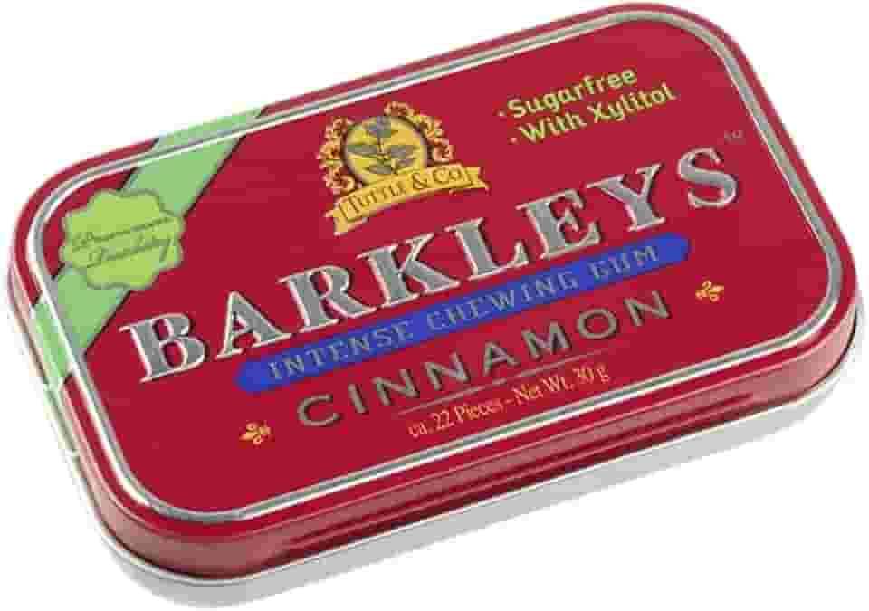 Chiclete Barkleys Chewing Gum Cinnamon Canela 30 Gr