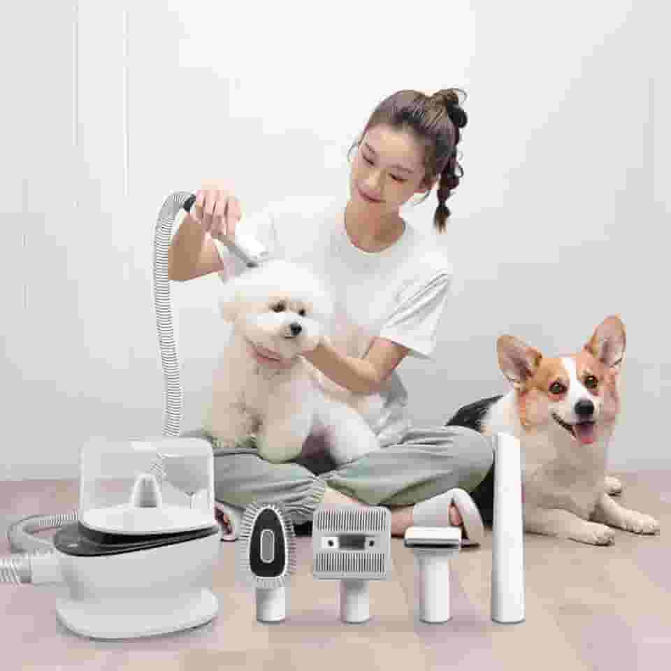 2L Aspirador de pêlos de cães, kit de limpeza de cães, aspirador de pêlos de animais forte de 9000Pa, Maquina De Tosar Cachorro Para Pet Recarregável Cães Gatos 127V (5 em 1)