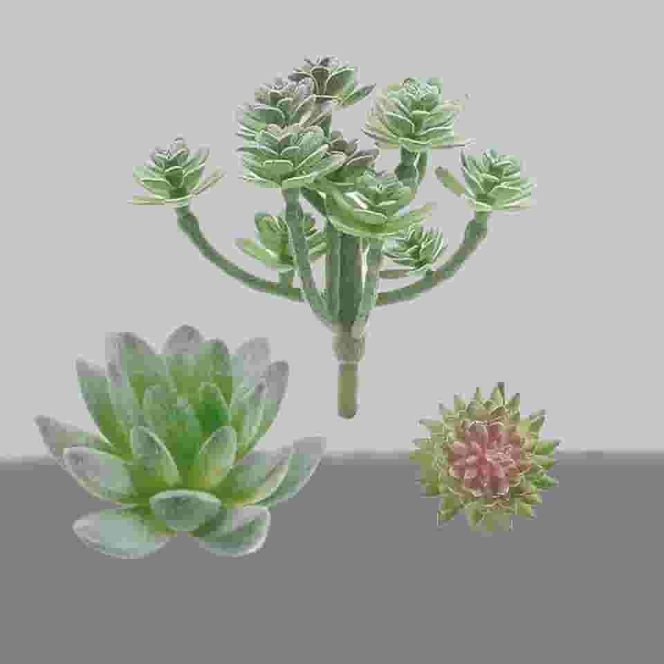Conjunto de 3 plantas artificiais para decoração de mesa de escritório em casa, mesa de casamento, mesa de centro de mesa (combinação verde de suculentas)