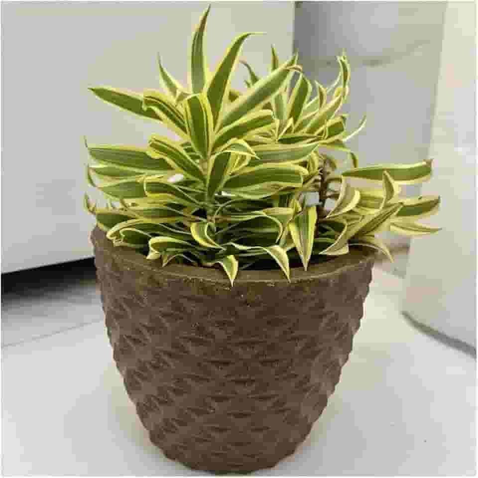 VASO POLIETILENO CONE BERLIAN GOLD 3D DECORATIVO P/PLANTAS/JARDINS/ESCRITÓRIOS LUXO (MARROM)