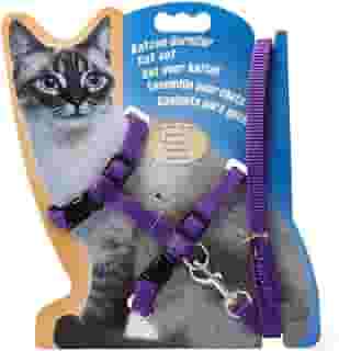 Coleira Para Gatos Com Guia Peitoral Ajustável E Confortável (Roxo)