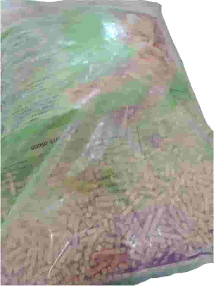 Granulado higienico de madeira 10kg