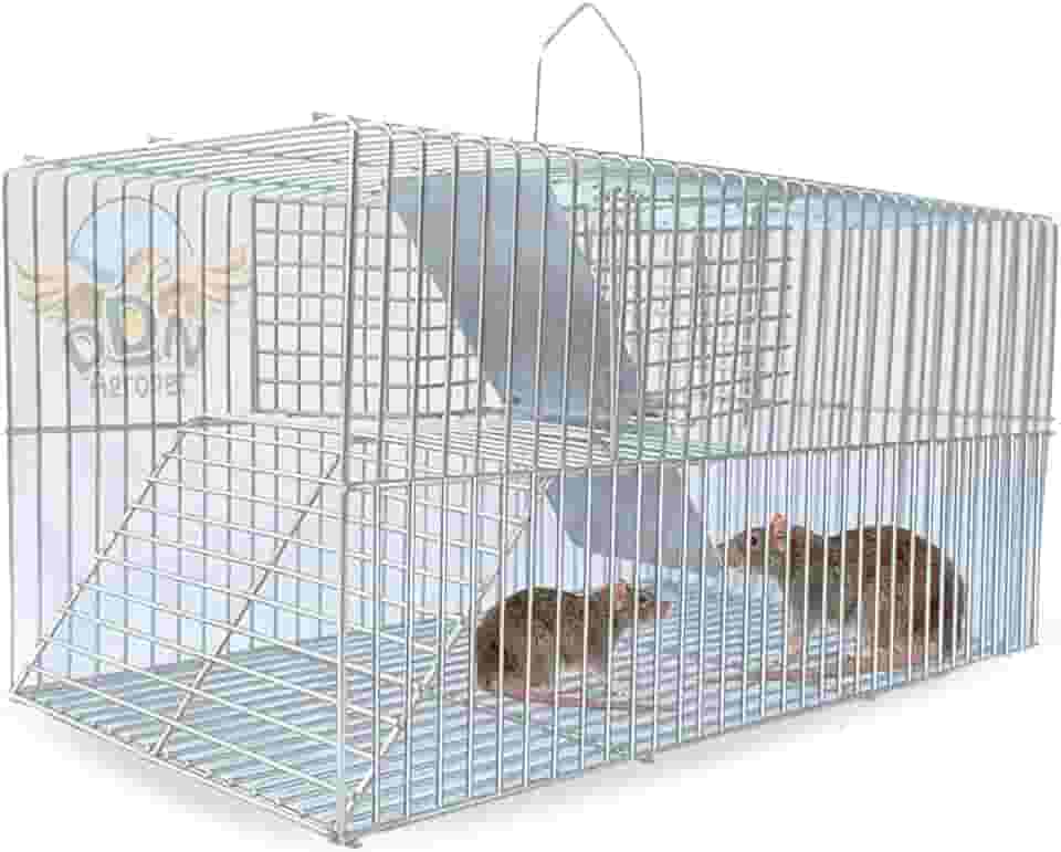 Gaiola Ratoeira Armadilha Pegar Capturar Rato Pequeno Camundongo Soltura Lateral