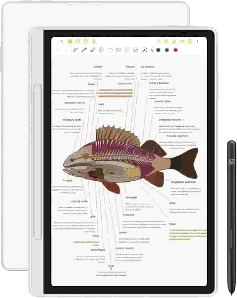 XPPen Magic Note Pad: Leitor de E-books + Tablet Android 14 + Caderno Digital, 10.95 Polegadas, 6GB+128GB, WiFi, Bateria 8000mAh, Tablet de Papel Original/Tinta/Cor com Caneta 16K Passiva