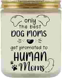 Presentes para mães novas, presente para mamãe, melhores presentes para grávidas, presentes de gravidez para mães de primeira viagem, presentes engraçados de mãe de cachorro para mães grávidas, vela
